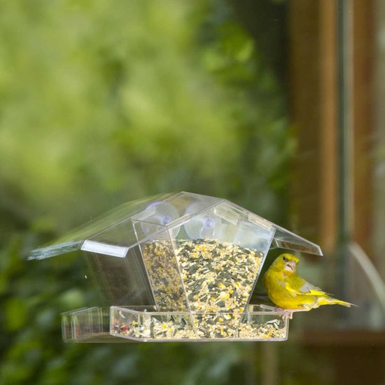 Groenling eet uit een transparant raamvoederhuisje aan een raam.