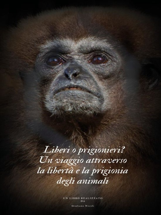 Liberi o prigionieri? - cover