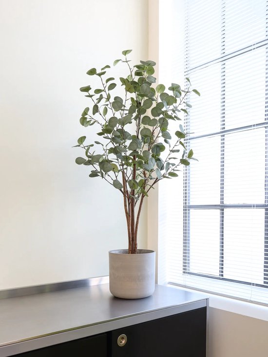 Art Eucalyptus Koala | 120cm - Faux eucalyptus - Plantes artificielles pour l'intérieur - Plante d'eucalyptus artificielle