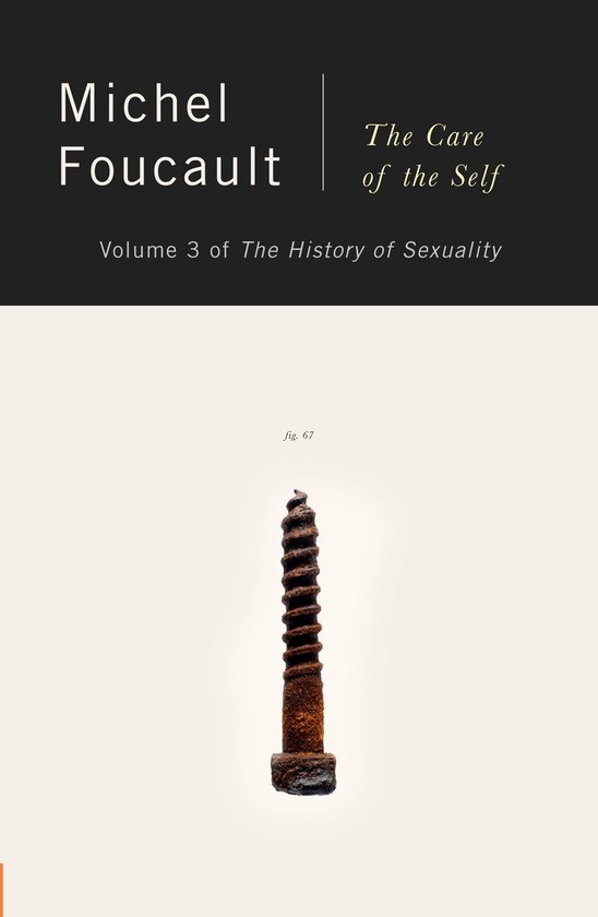 Boek 'The Care of the Self' van Michel Foucault, Deel 3 van 'The History of Sexuality'. Een verroeste schroef wordt getoond.