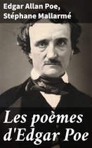 livre numérique