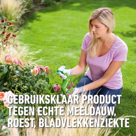 COMPO Duaxo Spray Rozen - tegen ziektes op rozen en andere sierplanten - geneest en voorkomt - spray 750 ml van Merkloos	 — afbeelding 4