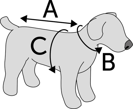 Labrador Croisé Border Collie Caractere Hotsell