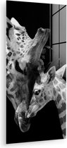 Peinture sur verre - Photo sur verre - Animaux sauvages - Girafe - Famille - Zwart - Wit - Verre acrylique - 20x40 cm - Peinture sur verre girafe - Décoration murale animaux - Peinture sur verre