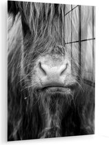 MuchoWow® Tableau sur verre 30x40 cm - Tableau sur verre acrylique - Highlander écossais - Vache - Zwart - Wit - Animaux - Photo sur verre - Décoration murale salon - Décoration murale chambre - Peintures