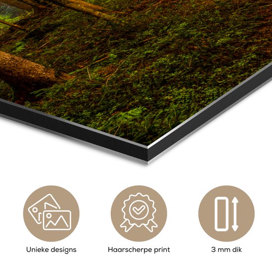 Tableau aluminium 160x120 cm - Décoration murale métal - Forêt - Nature - Arbres - Paysage - Feuilles - Décoration murale métal salon - Décoration industrielle - Photo sur dibond - Accessoires industriels chambre