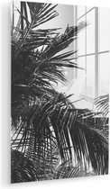 MuchoWow® Tableau sur verre 40x60 cm - Tableau sur verre acrylique - Feuilles de palmier - Nature - Vintage - Palmier - Photo sur verre - Décoration murale salon - Décoration murale chambre - Peintures