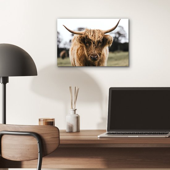 Aluminium schilderij 30x20 cm - Wanddecoratie metaal - Schotse Hooglander - Koe - Gras - Dieren - Natuur - Metalen muurdecoratie woonkamer - Decoratie industrieel - Foto op dibond - Industriële accessoires slaapkamer