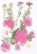 Geperste droogbloemen - Artemio