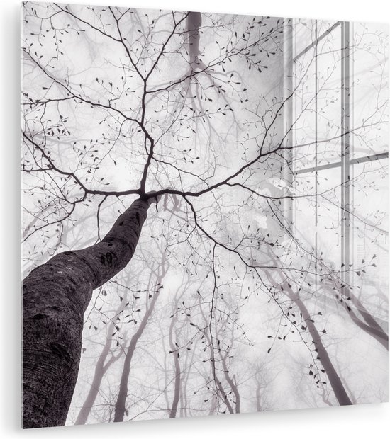 MuchoWow® Glasschilderij 50x50 cm - Schilderij acrylglas - Boom - Takken - Bladeren - Mist - Foto op glas - Muurdecoratie woonkamer - Wanddecoratie slaapkamer - Schilderijen