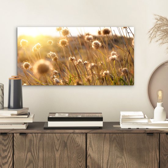 Décoration murale Métal - Peinture Aluminium Industrielle - Plantes - Nature - Fleurs - Soleil - Horizon - 40x20 cm - Dibond - Photo sur aluminium - Décoration murale industrielle - Pour le salon / chambre