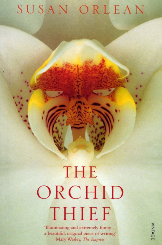 Orchid Thief - cover