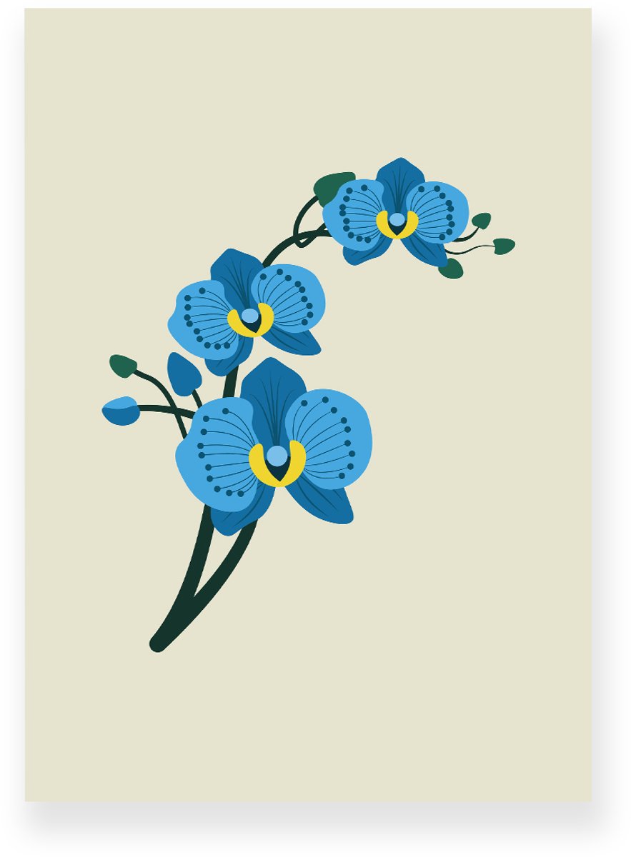 Yisual Poster 20x30 cm - Orchidee - Bloemen - Beige - Blauw - Minimalistisch - Botanisch - Muurdecoratie - Wanddecoratie