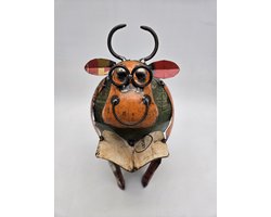 Blikken koe met boek