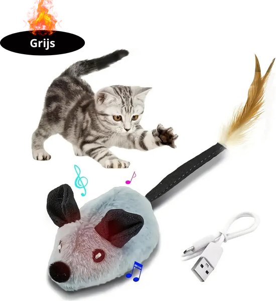 gezonde mannelijke en vrouwelijke Bengaalse kittens klaar voor hun nieuwe thuis. | Gratis Kittens