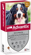 Advantix Spot On 600 Anti Vlooien en Teken Druppels Hond 40 - 60 kg 6 pipetten