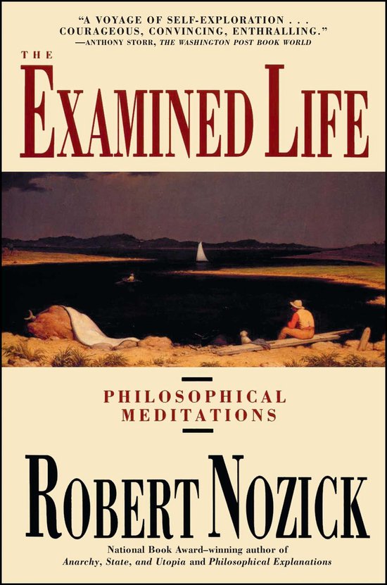 Boekomslag van 'The Examined Life' met een schilderij van een boot op het water en een persoon zittend op de oever.