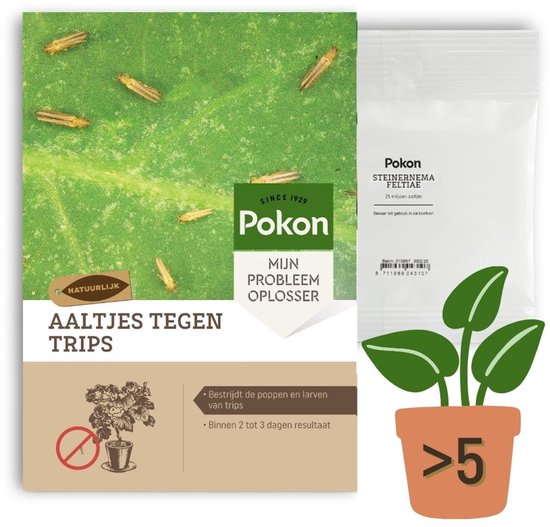 Beste middel tegen trips 10 POKON Trips - 25 miljoen aaltjes voor 5 of meer planten - Trips bestrijding - Natuurlijke bestrijding - Binnen 2 tot 3 dagen resultaat