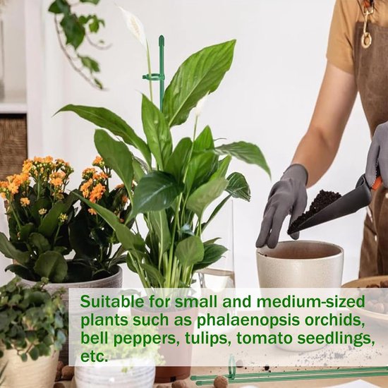 PlantMe Mosstaaf Midi Set 70 Cm Zwart - Klimhulp Voor Kamerplanten Zoals Philodendron En Monstera