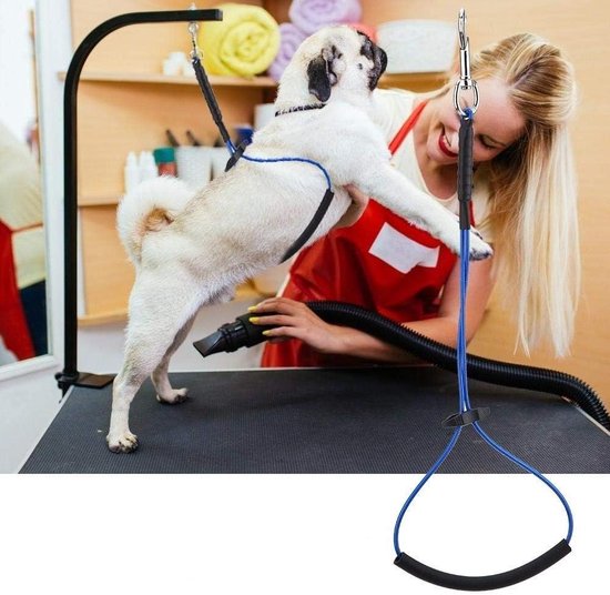Doxtasy Harnas Metal - Shop Voor Je Hond