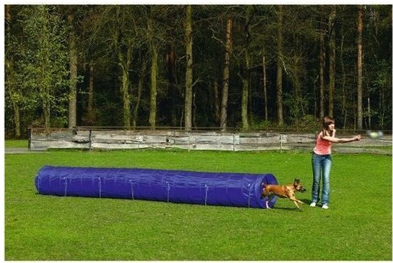 Agility Tunnel Large 525x60x60 cm