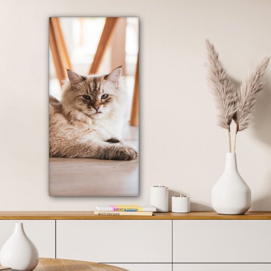 Een langharige kat met grijze en bruine strepen op de vloer.