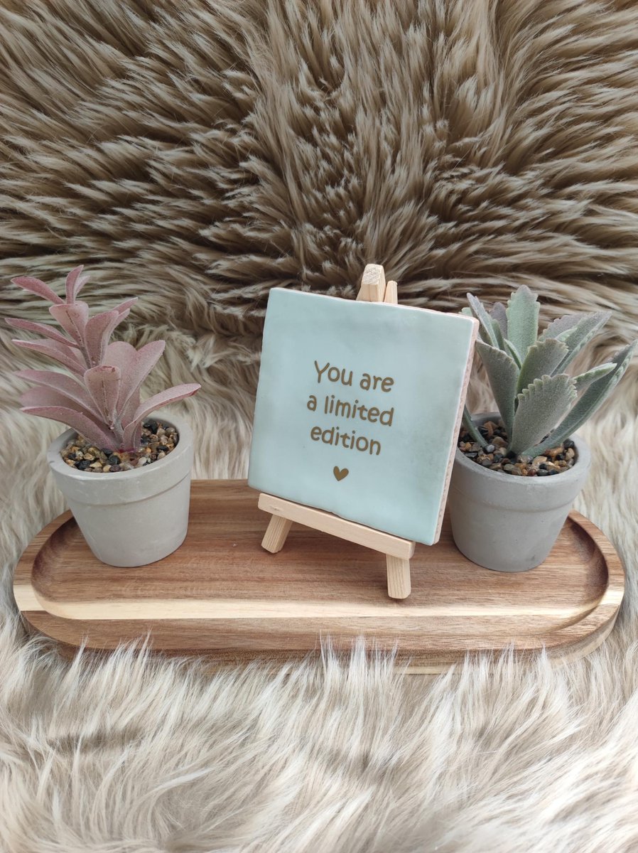 Robuust Wenstegeltje – You Are a Limited Edition – Hip trendy tegeltje – Uniek Cadeau voor Vriendin, Juf, Tante, Zus of Collega – Stijlvolle Woondecoratie met Boodschap – Trendy nu – Decoratief Tegeltje met Standaard – Cadeau Idee