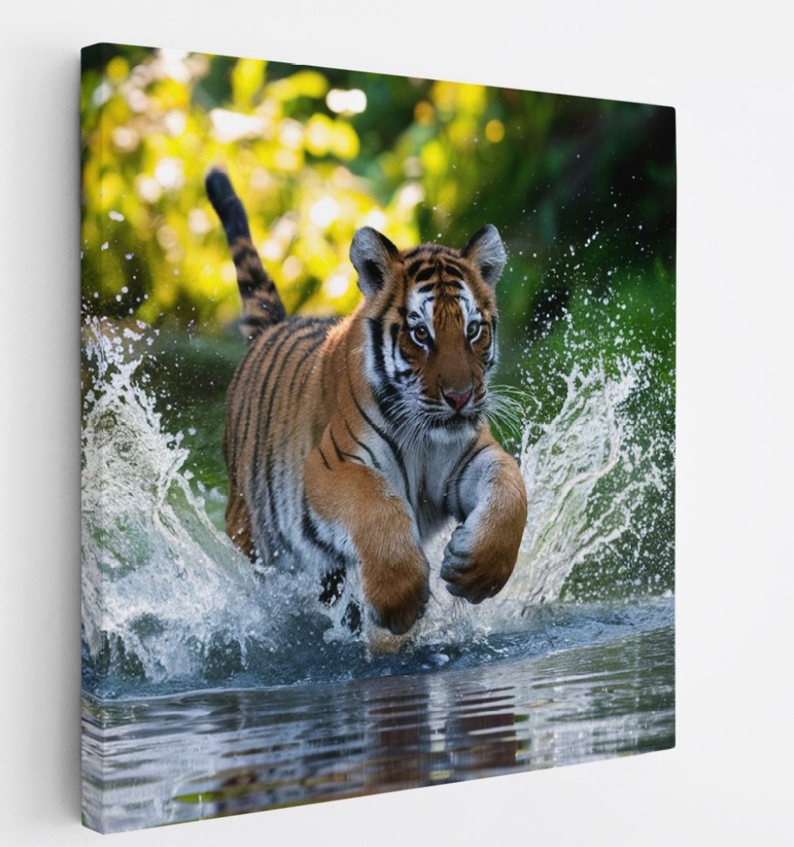 Saammp Canvas Schilderij - Tijger welp in het water - Natuur - Dieren - 20x20 - Foto op canvas - Wanddecoratie - muurdecoratie Woonkamer - Slaapkamer decoratie - Canvas Print Multicolor