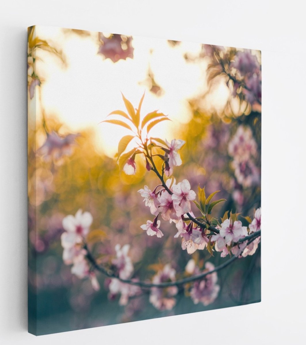 Saammp Canvas Schilderij - Bloemen in zonsopgang - Natuur - 30x30 - Foto op canvas - Wanddecoratie - Muurdecoratie Woonkamer - Kantoor Decoratie Multicolor
