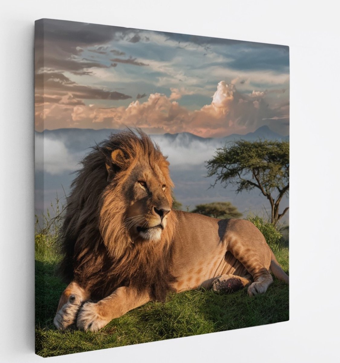 Saammp Canvas Schilderij - Leeuw bovenop een berg - Landschap - Dieren - Natuur - 60x60 - Foto op canvas - Wanddecoratie - Muurdecoratie Woonkamer - Slaapkamer decoratie - Canvas Print Multicolor