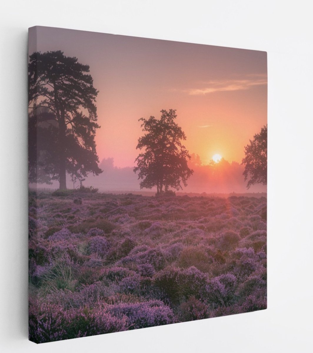 Saammp Canvas Schilderij - Lavendelveld met bomen en zonsondergang - Zonsondergang - Landschap - Natuur - 100x100 - Foto op canvas - Wanddecoratie - Muurdecoratie Woonkamer - Slaapkamer decoratie - Canvas Print Multicolor