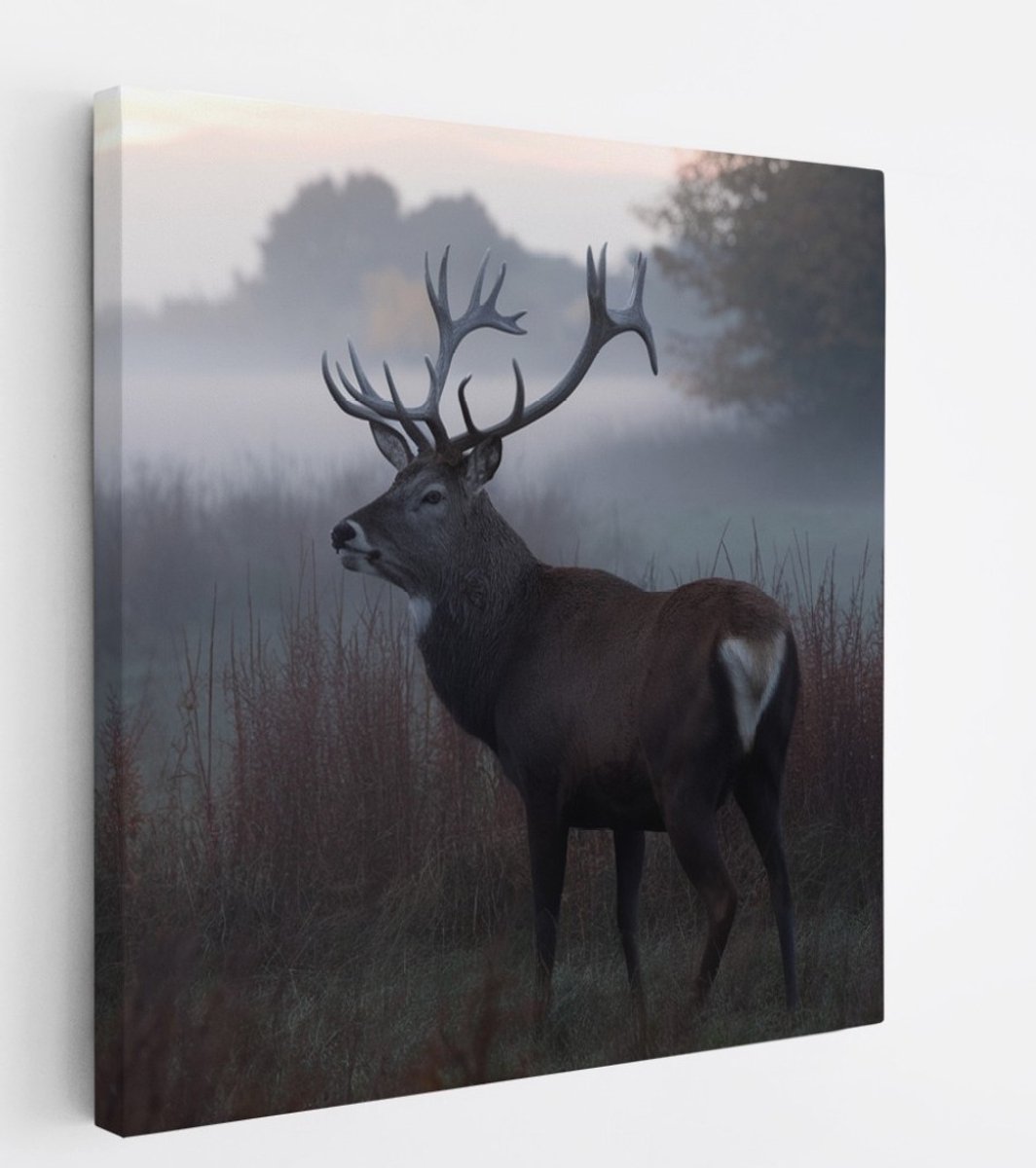 Saammp Canvas Schilderij - Hert - Mist - Natuur - Dieren - 100x100 - Foto op canvas - Wanddecoratie - Muurdecoratie Woonkamer - Slaapkamer decoratie - Canvas Print Multicolor