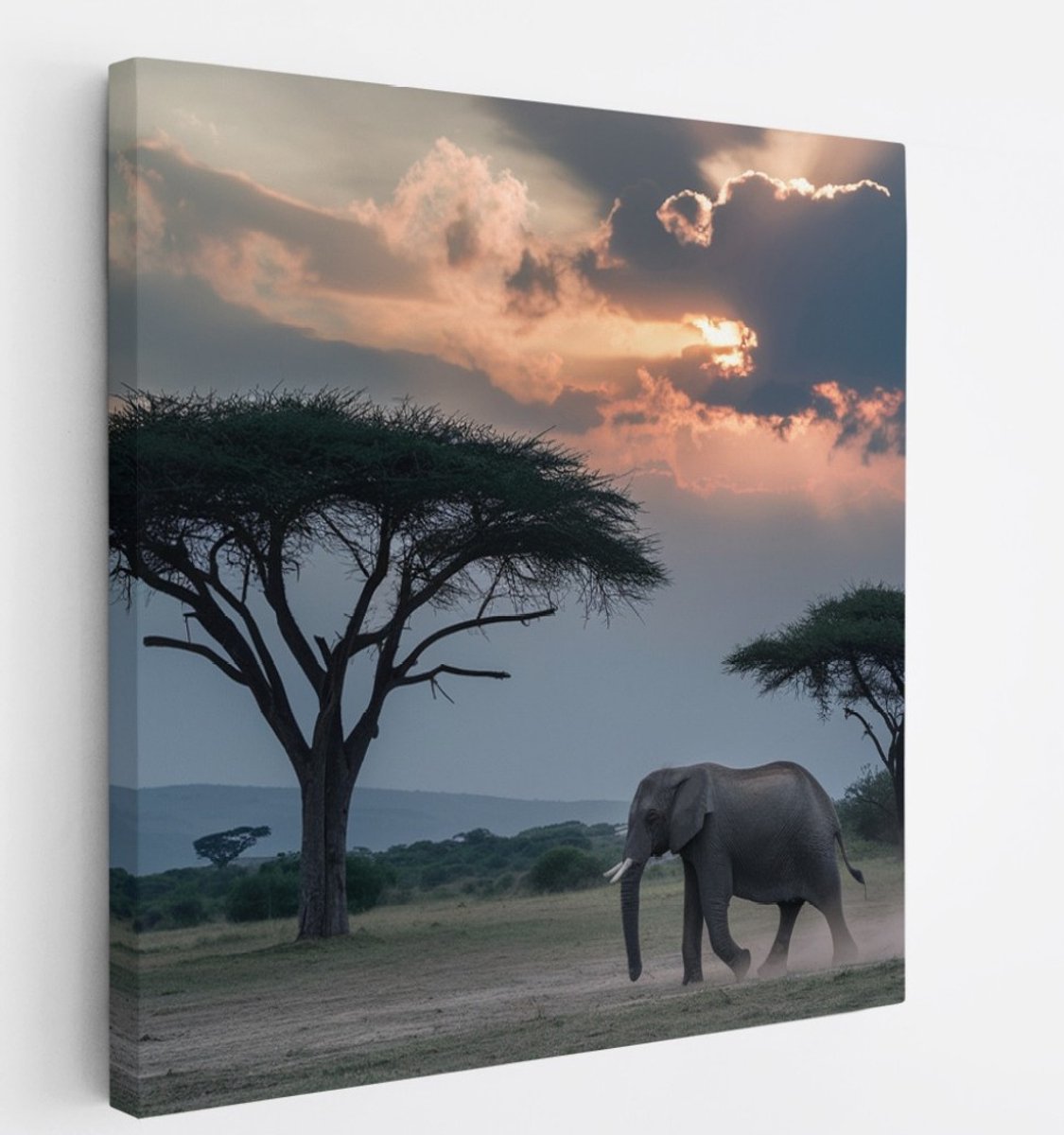 Saammp Canvas Schilderij - Olifant - Savanne - Dieren - 60x60 - Foto op canvas - Wanddecoratie - muurdecoratie Woonkamer - Slaapkamer decoratie - Canvas Print Multicolor