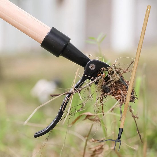 Onkruid Trekker met Dennen Stand Up Handgereedschap, 4-Klauw en Wortelverwijderaar, 3-Traps Verstelbaar — afbeelding 5