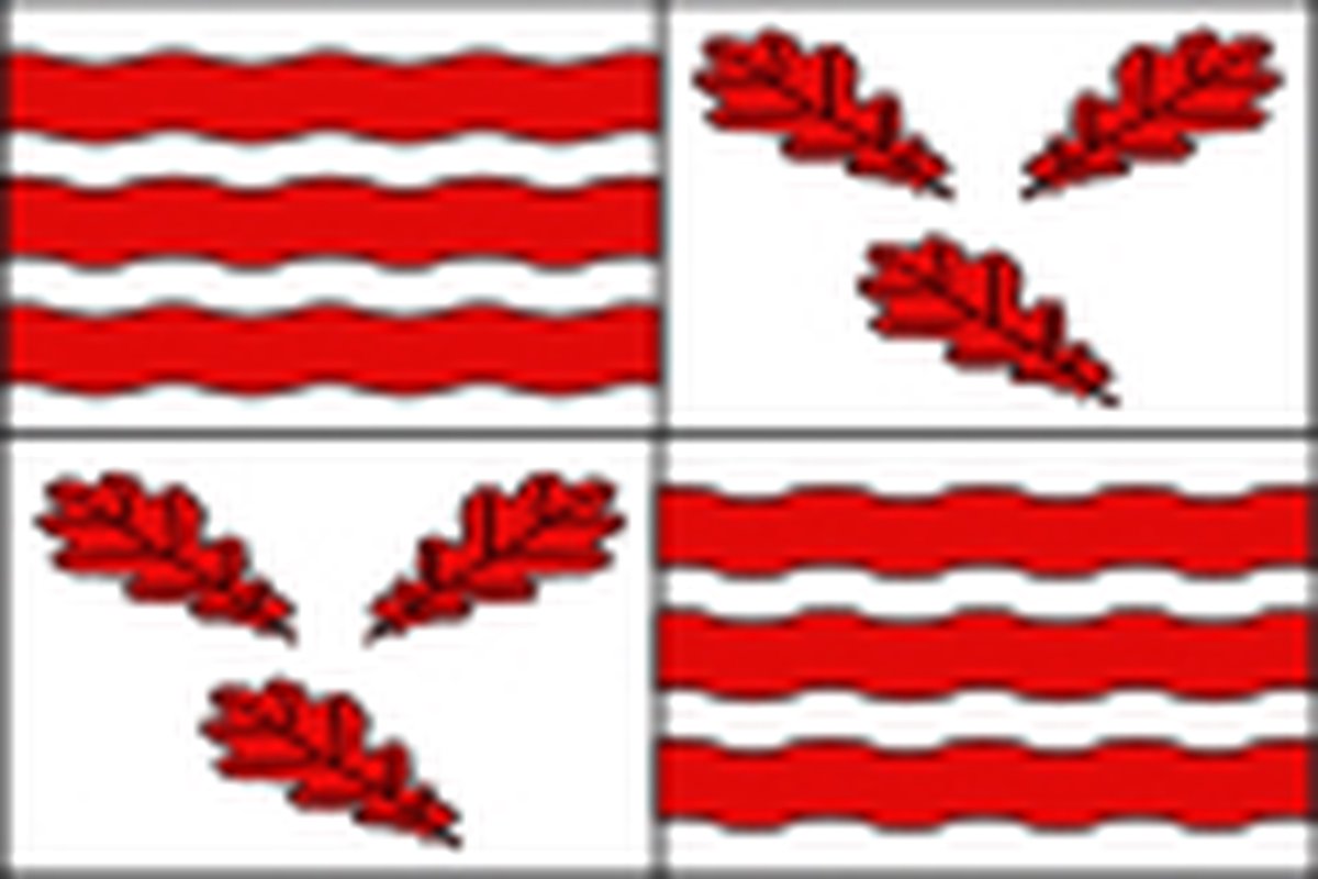 Vlag Froidchapelle 120x180cm