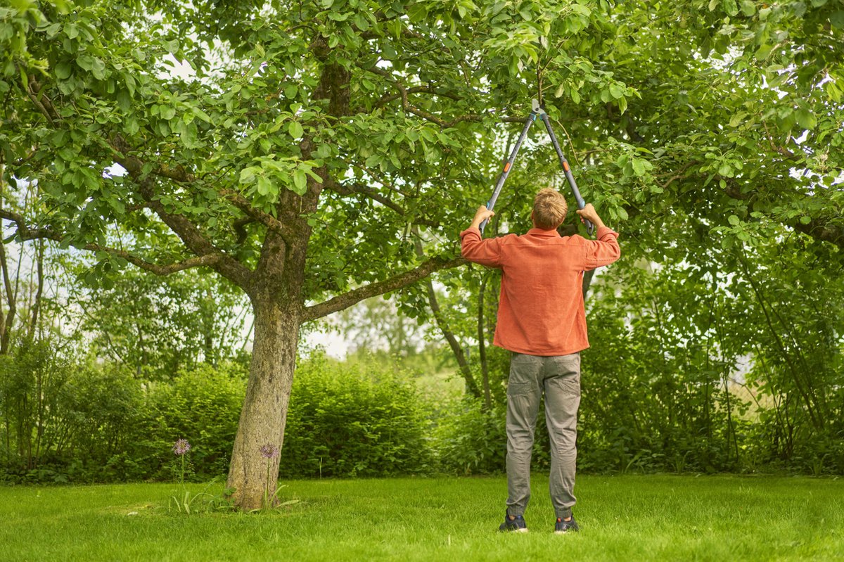 Gardena TeleCut Pro L - Coupe-branches - 50 mm - Télescopique