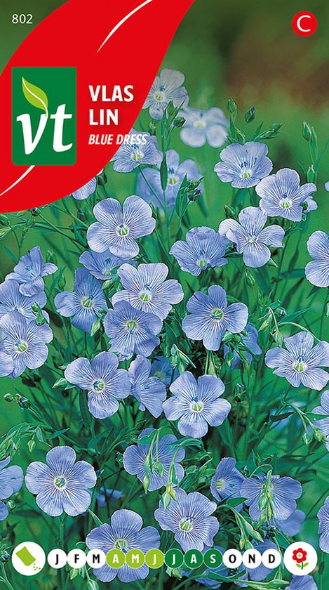 Vlas ‘Blue Dress’ – Elegante Blauwe Bloemen voor Sierlijke Tuinaccenten