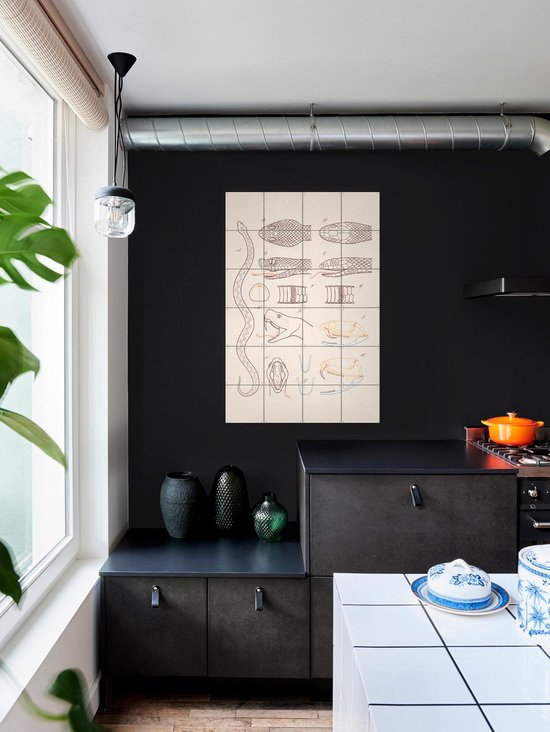 IXXI Serpent - Anatomie, Aster Edition - 100 x 140 cm - Gratis ophangtool - Grote wanddecoratie en posters - Technische Tekening, Illustraties, Line