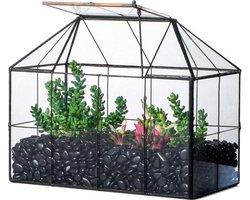 Thuys – Terrarium – Ecosysteem – Reptielenverblijf – Lamp – Glazen Panelen – Plantenkas – Zwart