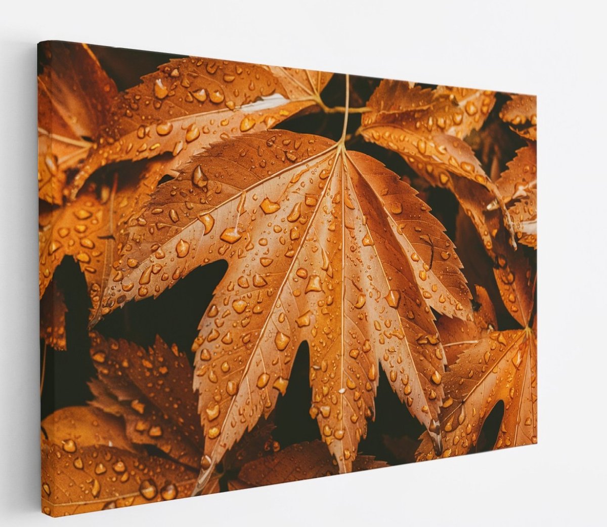 Saammp Canvas Schilderij - Herfstbladeren met Druppels - Natuur - Abstract - 50x40 - Foto op canvas - Wanddecoratie - Muurdecoratie Woonkamer - Kantoor Decoratie Multicolor