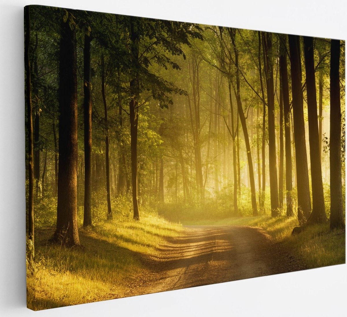 Saammp Canvas Schilderij - Weg door het bos - Bomen - Landschap - Natuur - 30x20 - Foto op canvas - Wanddecoratie - Muurdecoratie Woonkamer - Slaapkamer decoratie - Canvas Print Multicolor