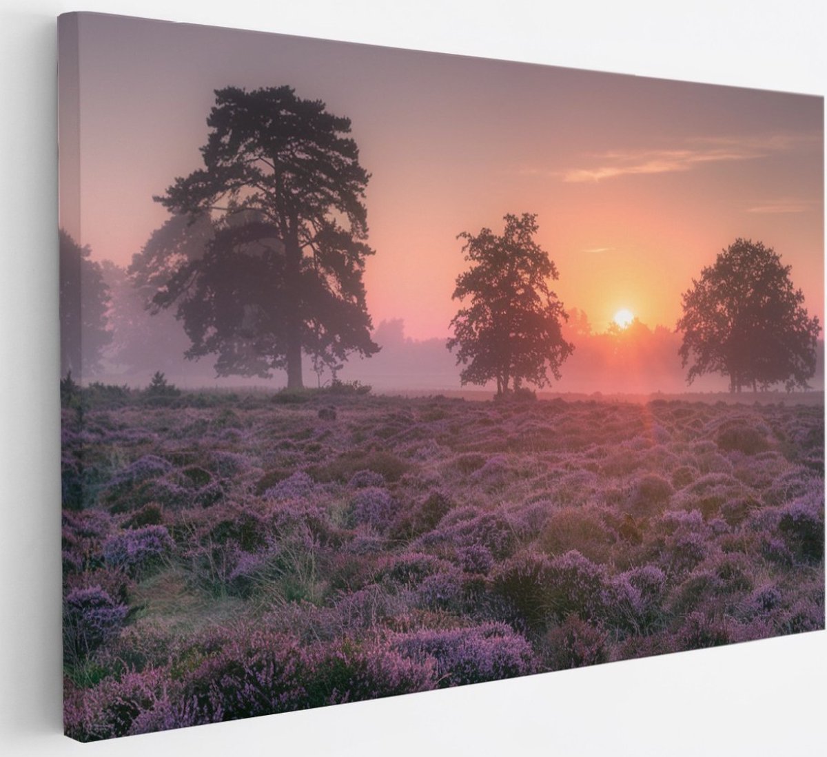 Saammp Canvas Schilderij - Lavendelveld met bomen en zonsondergang - Zonsondergang - Landschap - Natuur - 30x20 - Foto op canvas - Wanddecoratie - Muurdecoratie Woonkamer - Slaapkamer decoratie - Canvas Print Multicolor