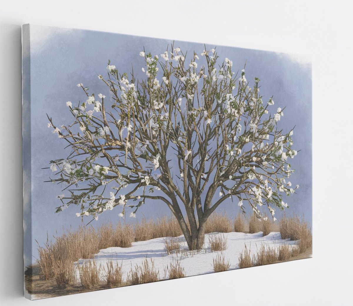 Saammp Canvas Schilderij - boom in de sneeuw - Abstract - 70x50 - Foto op canvas - Wanddecoratie - Muurdecoratie Woonkamer - Slaapkamer decoratie - Canvas Print Multicolor