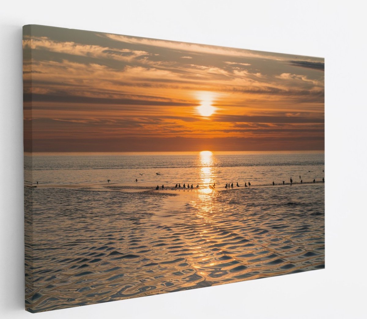 Saammp Canvas Schilderij - Vogels op een zandbank - Strand - Landschap - Natuur - 100x75 - Foto op canvas - Wanddecoratie - Muurdecoratie Woonkamer - Slaapkamer decoratie - Canvas Print Multicolor