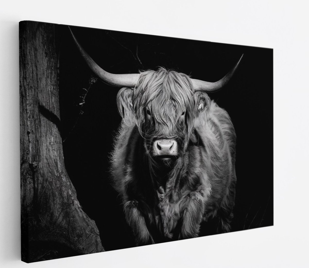 Saammp Canvas Schilderij - Schotse Hooglander Koe - Zwart-Wit - Dieren - Portret - 150x100 - Foto op canvas - Wanddecoratie - muurdecoratie Woonkamer - Slaapkamer decoratie - Canvas Print Multicolor