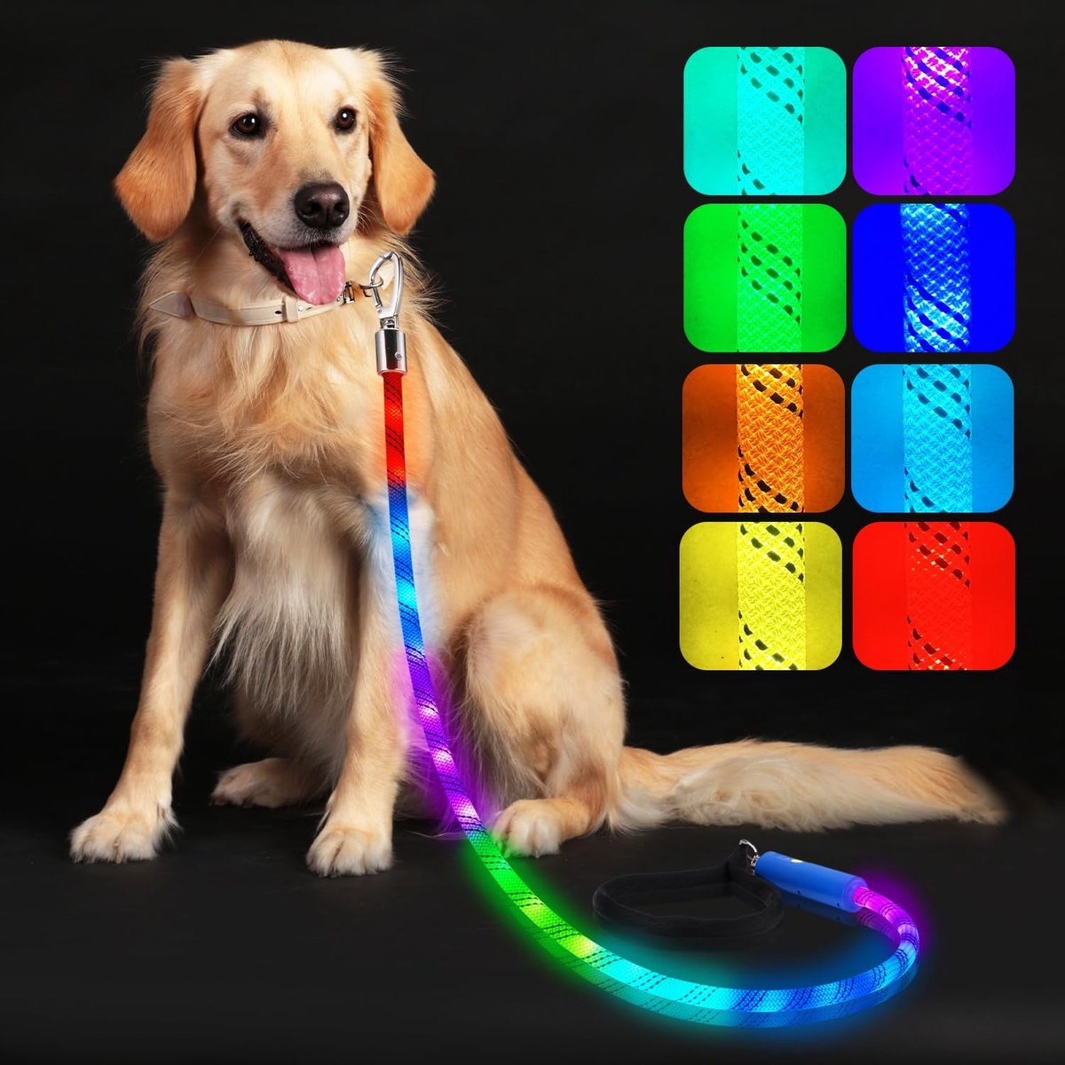 Verlicht Hondenriem 1.2m - Blauw