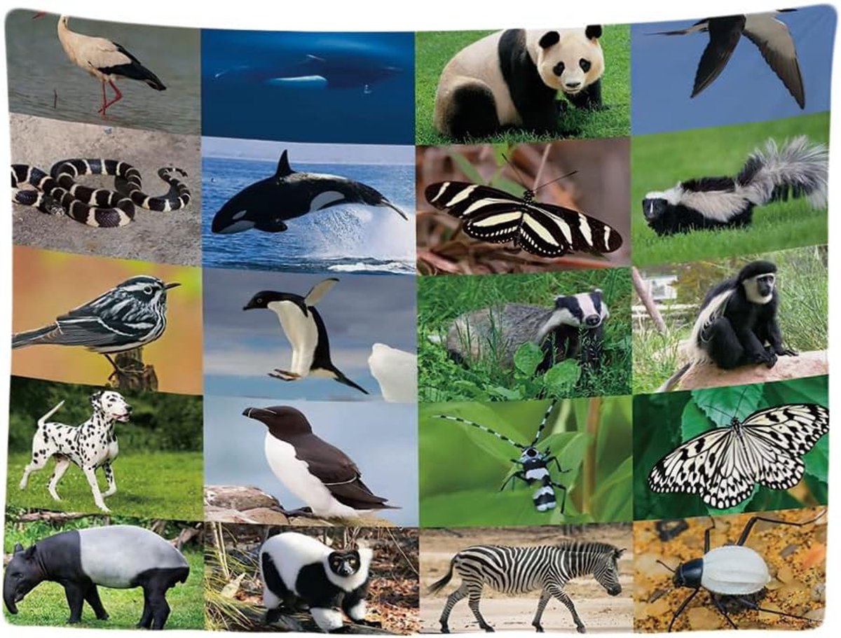 Kinderen - Decoratie - Versiering - Kind - Wandkleed binnen - Wandtapijt - Natuur - Dieren - Muurkleed - Wanddoek Stof - 200 x 150 cm - Fotobehang - Poster - Ulticool - Jongen - Meisje
