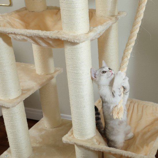 Een zilver-witte kitten klimt aan een touw dat aan een beige krabpaal hangt.