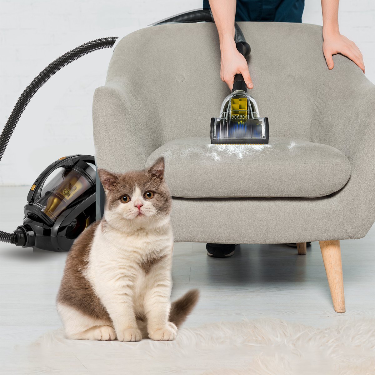 AG3100 Stofzuiger Zonder Zak - Gold - Stofzuigers - Vacuum Cleaner Zakloos - 8.5 Meter - 900W - Sterke Zuigkracht - HEPA Filter - Compact, Licht & Krachtig - Gemakkelijk Schoon Te Maken — afbeelding 6
