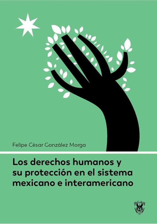 Los derechos humanos y su protección en el sistema mexicano ... - cover